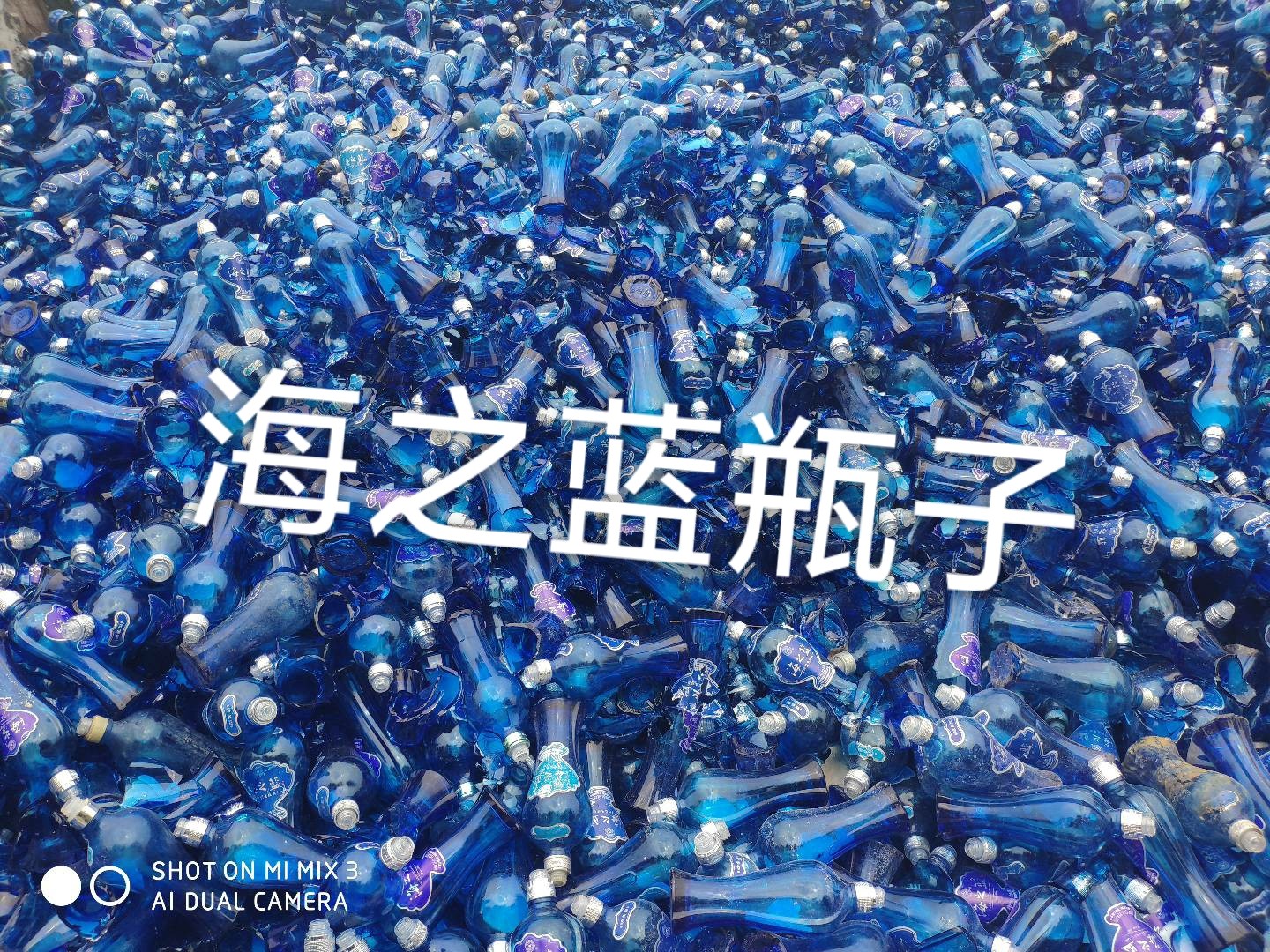 宿城区海之蓝瓶回收